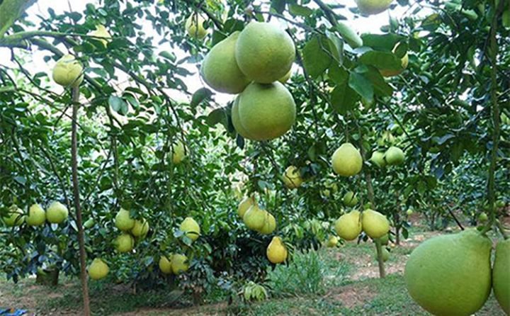 1565943111237793.jpg 圖片2.jpg