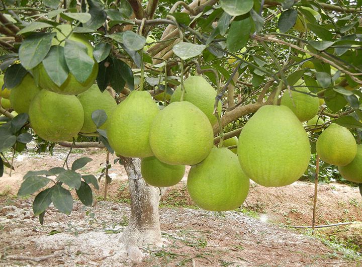 1565943150129035.jpg timg (4).jpg